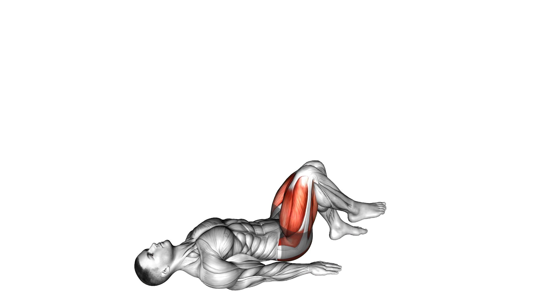 Single Leg Glute Bridge with External Rotation exercise demonstration