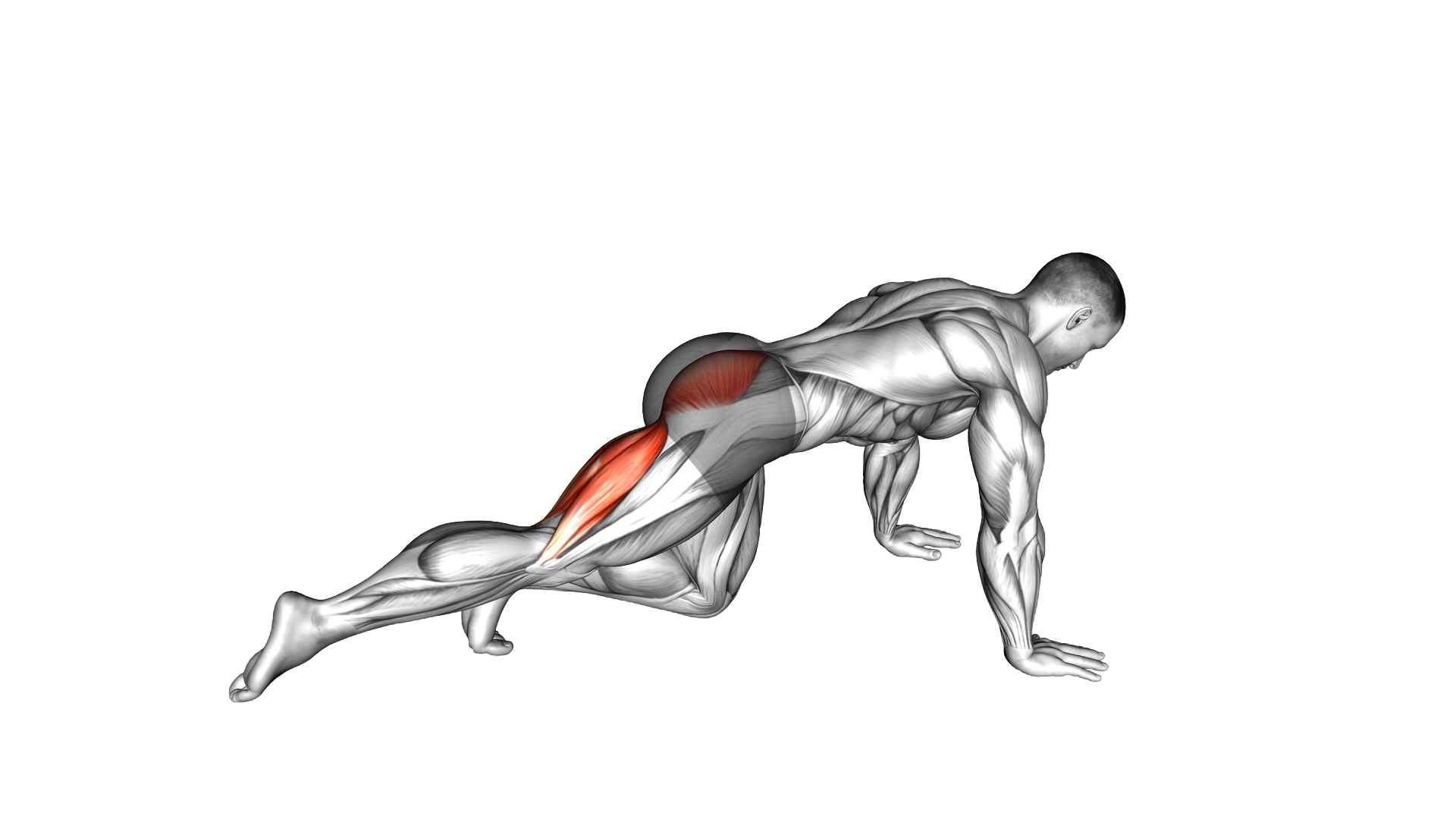 Kneeling Pulse exercise demonstration