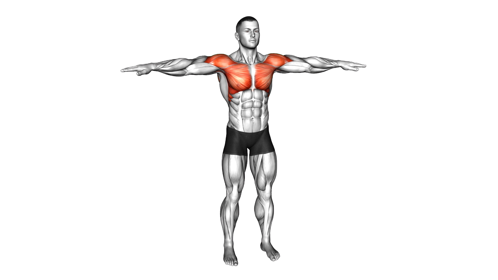Arm Crossover exercise demonstration