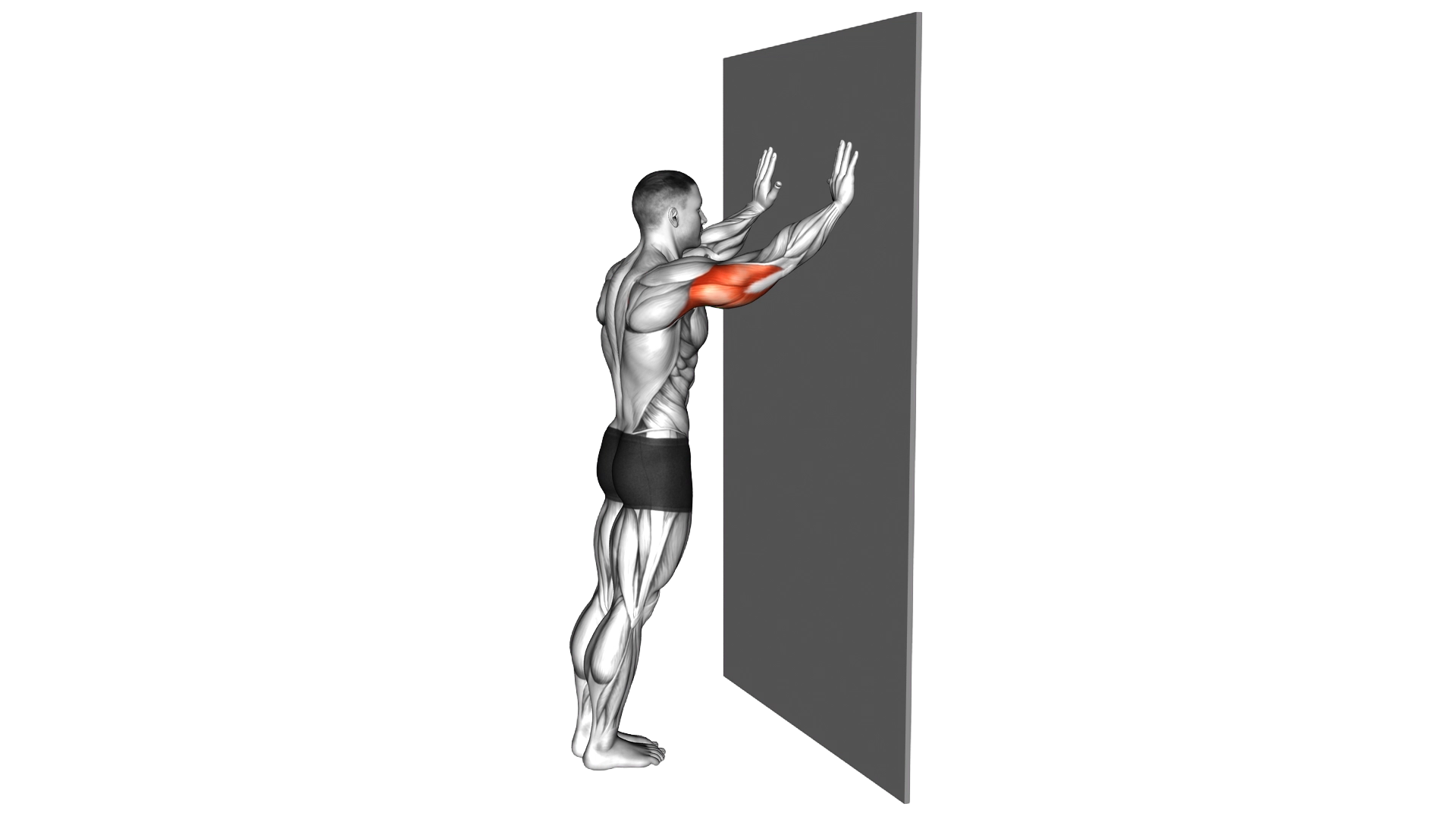 Wall Pulse exercise demonstration