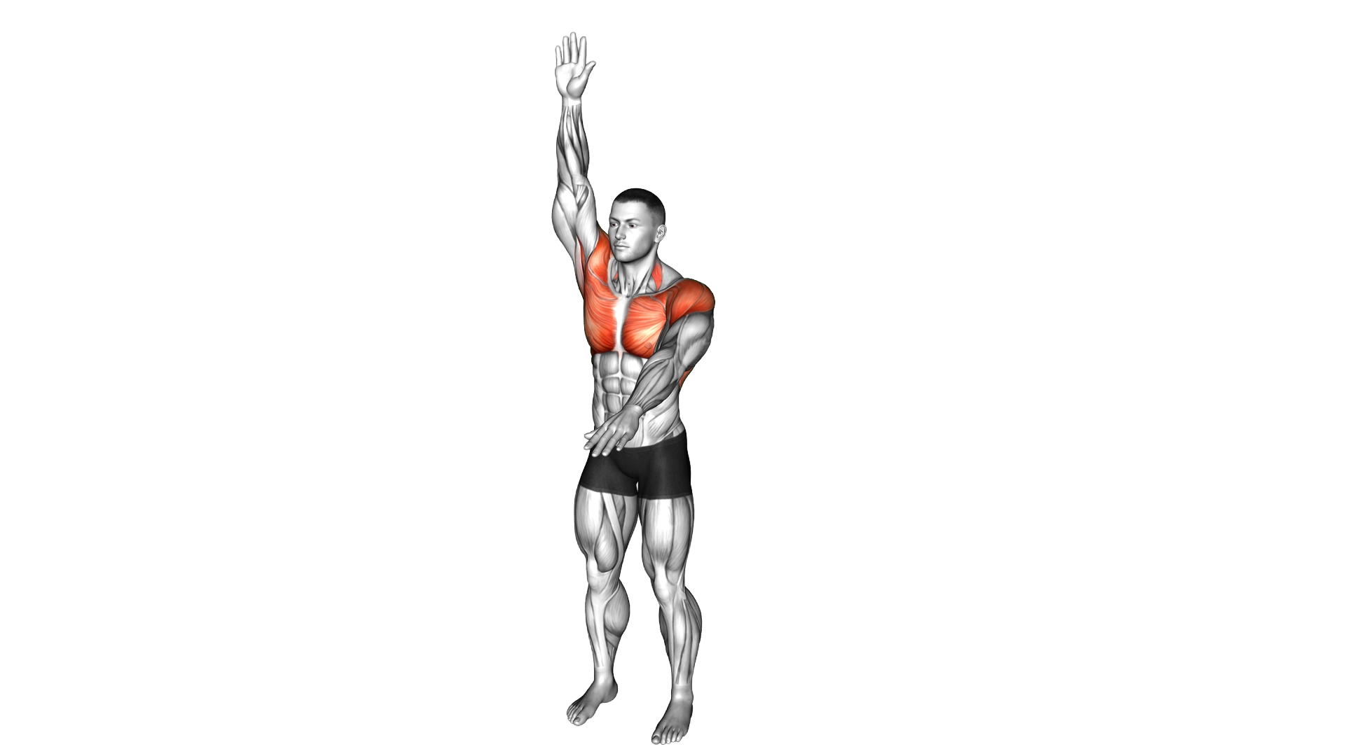Arms Up and Down exercise demonstration
