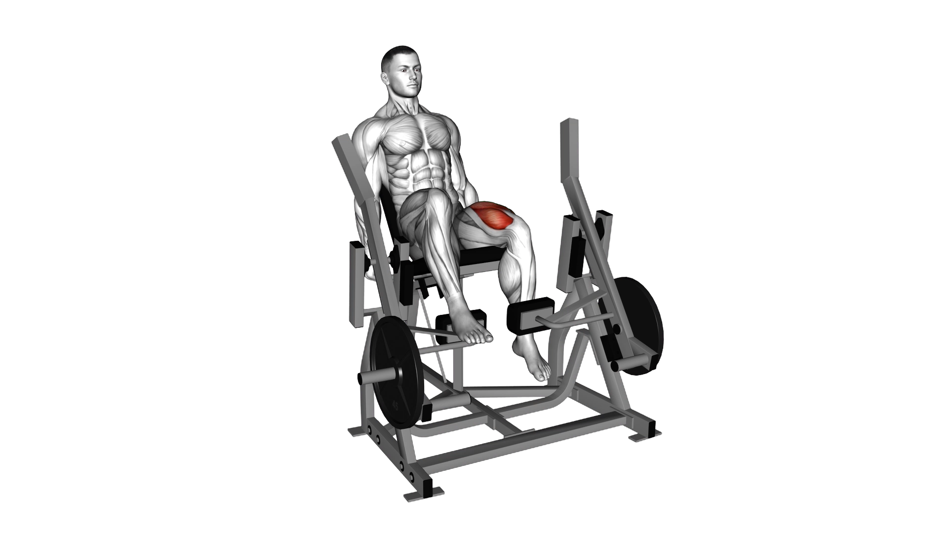 Lever Single Leg Extension (plate loaded) exercise demonstration
