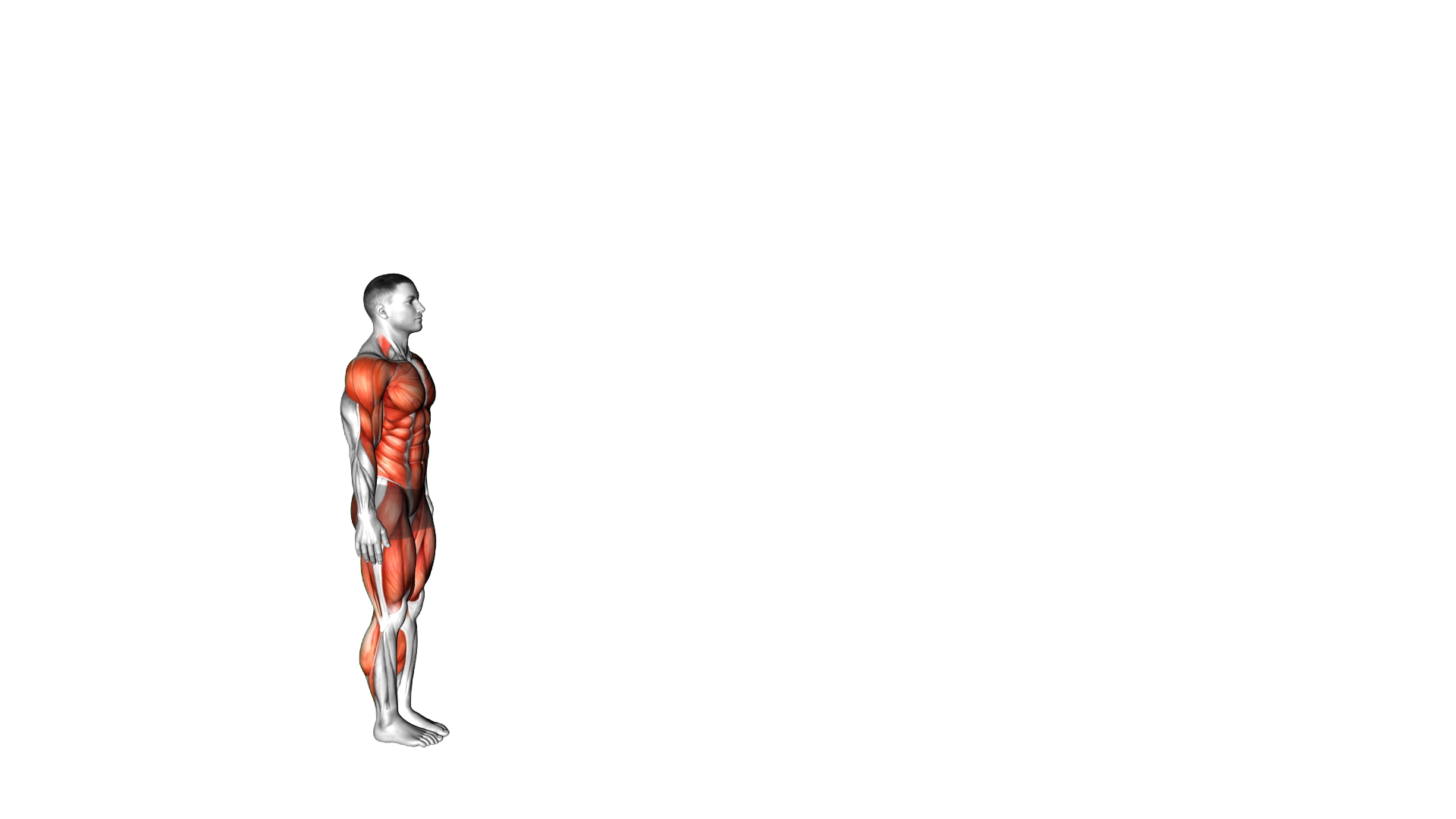 Burpee Long Jump with Push up exercise demonstration