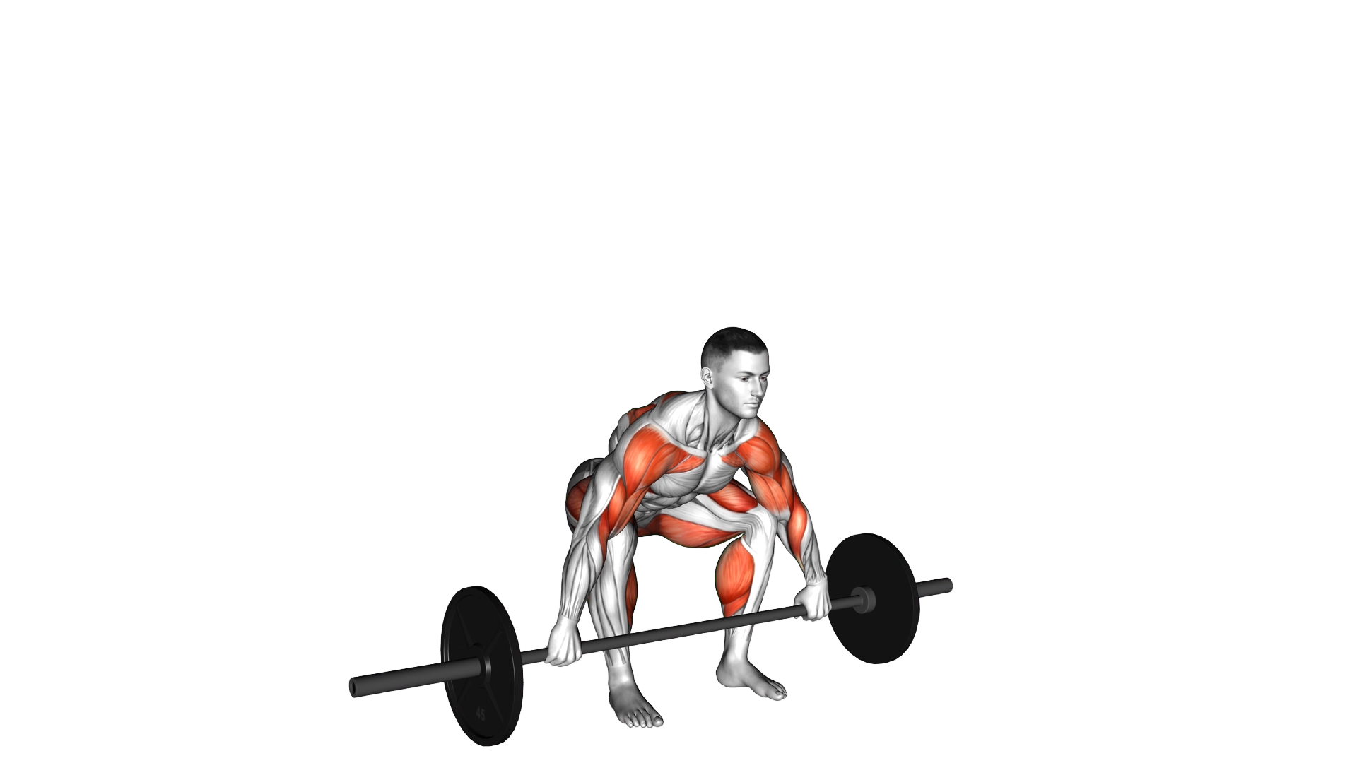 Snatch High Pull exercise demonstration