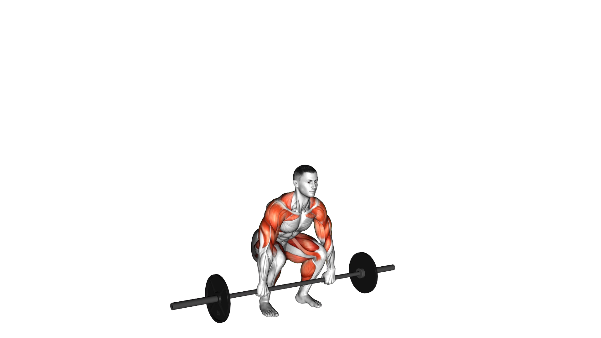 Barbell Clean and Jerk exercise demonstration
