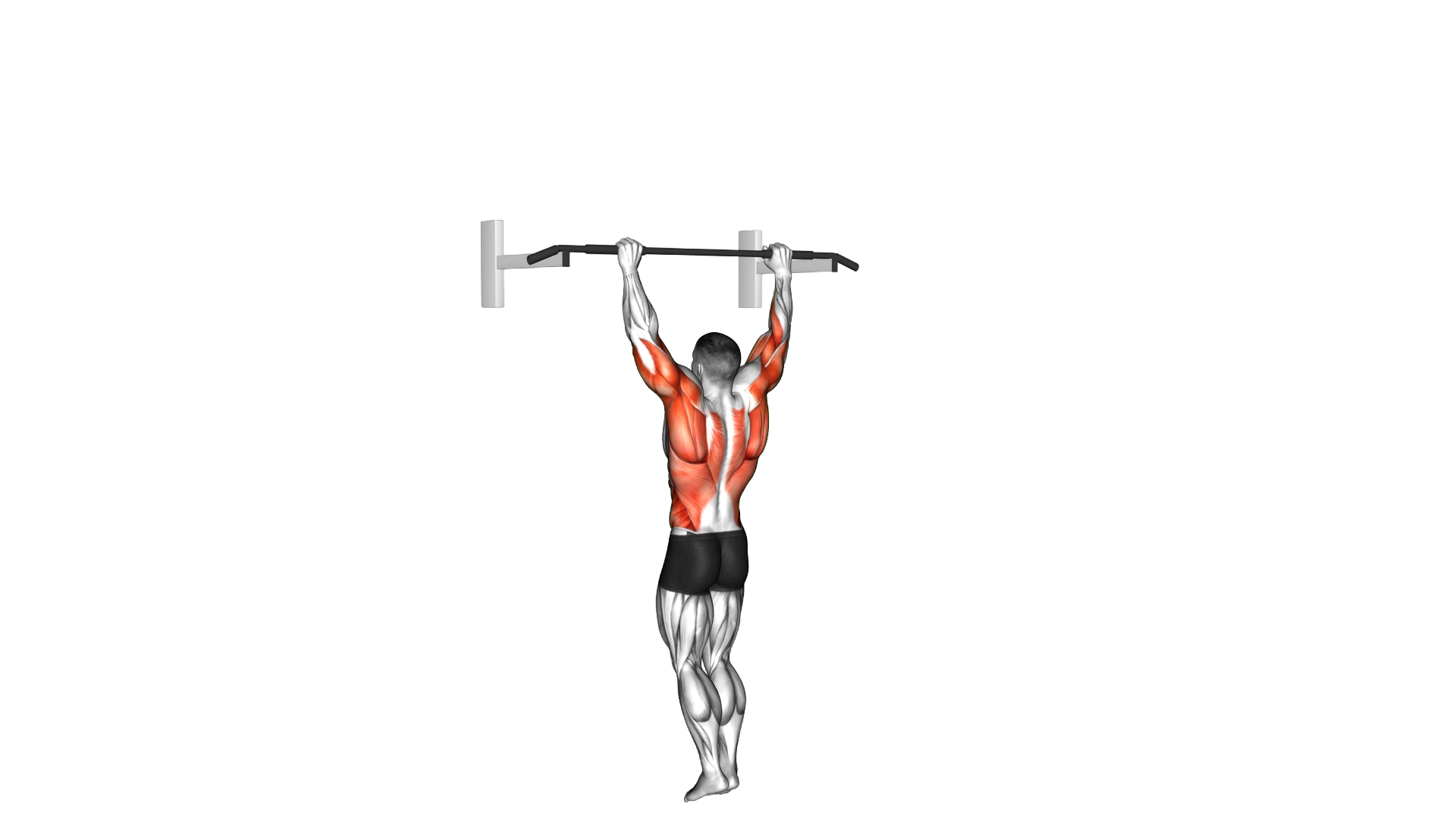 Bodyweight Muscle Up exercise demonstration