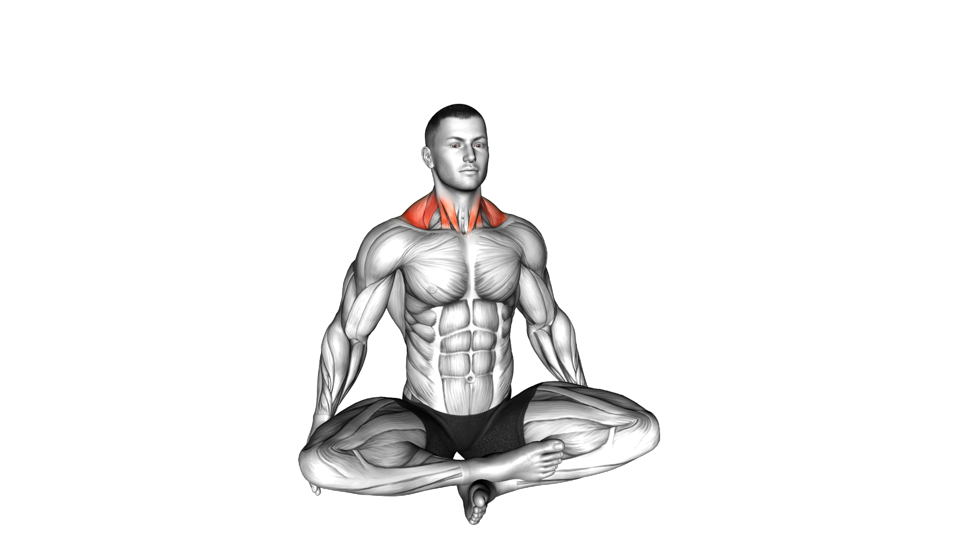 Seated Neck Side Stretch exercise demonstration