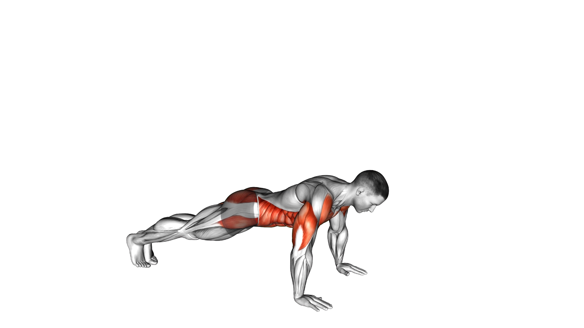 Push Up with Twist exercise demonstration