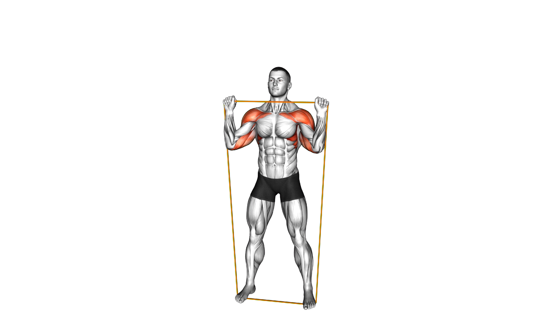 Resistance Band Overhead Shoulder Press exercise demonstration