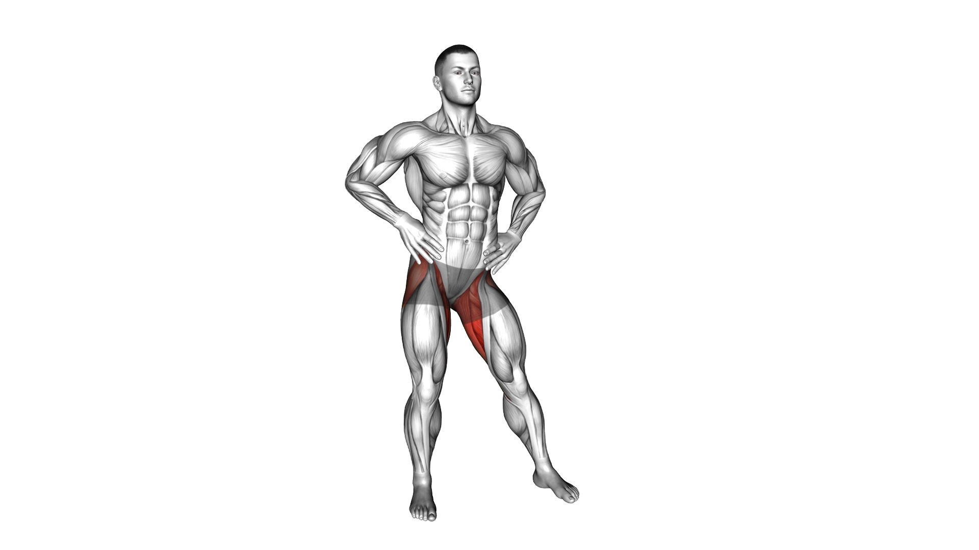 Hip Circles Stretch exercise demonstration