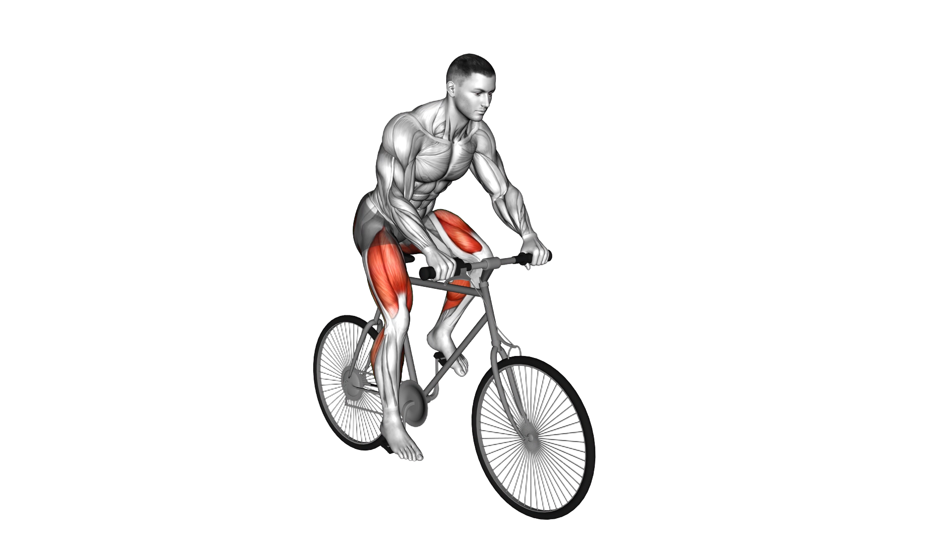 Riding Outdoor Bicycle exercise demonstration
