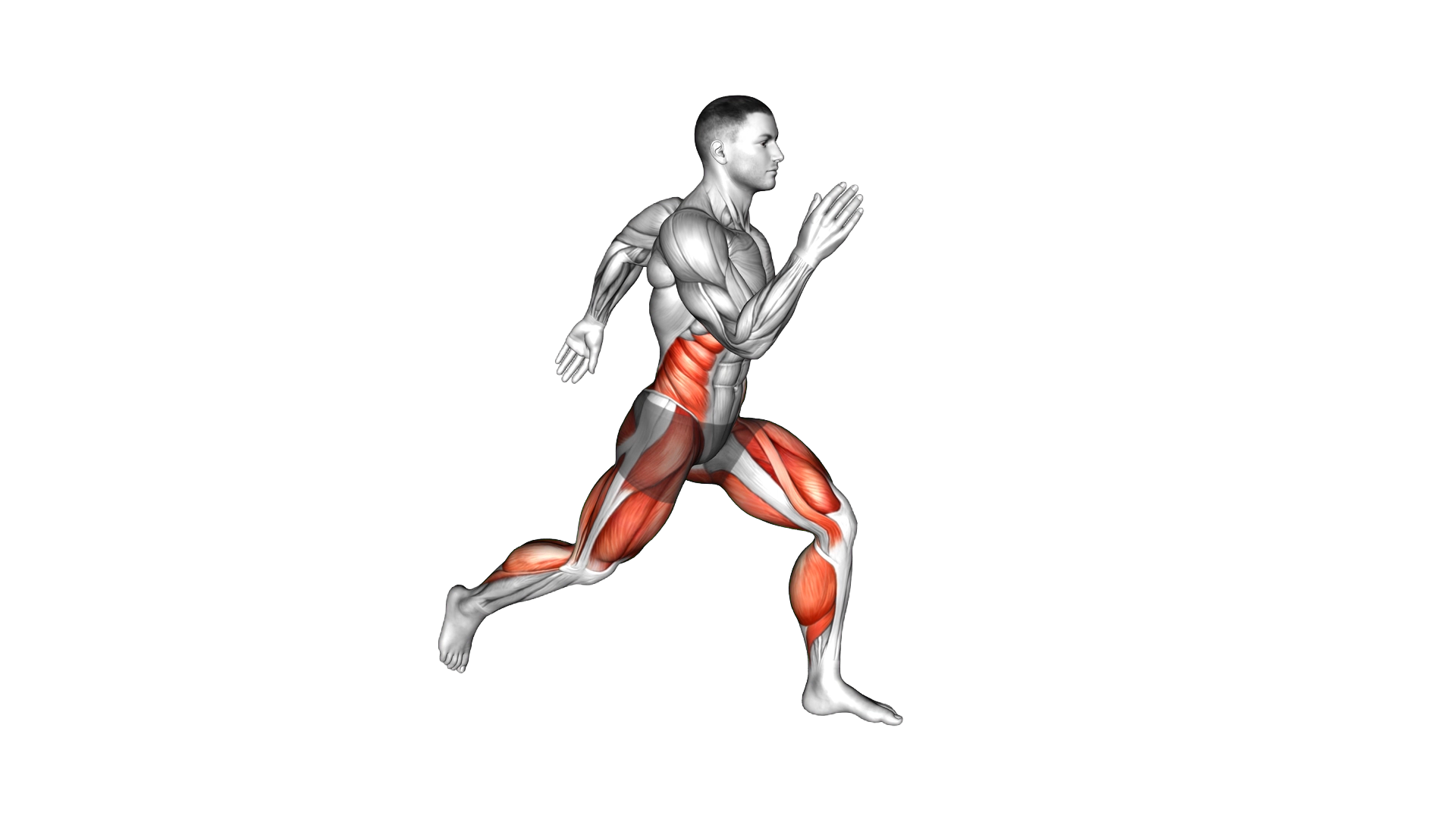Sprint exercise demonstration