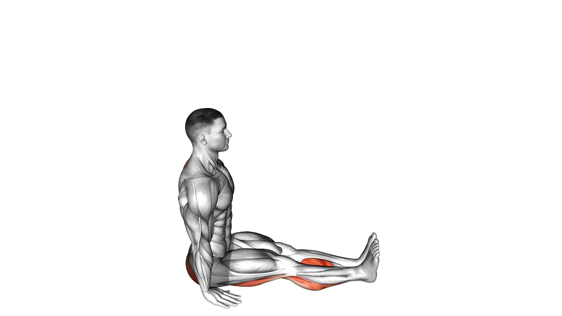Seated Forward Bend Yoga Pose exercise demonstration