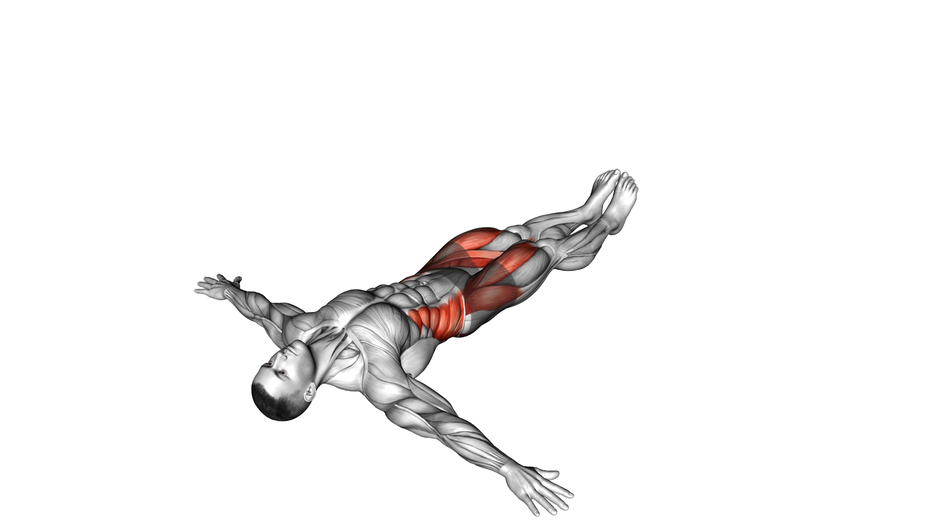 Lying Side Stretch exercise demonstration