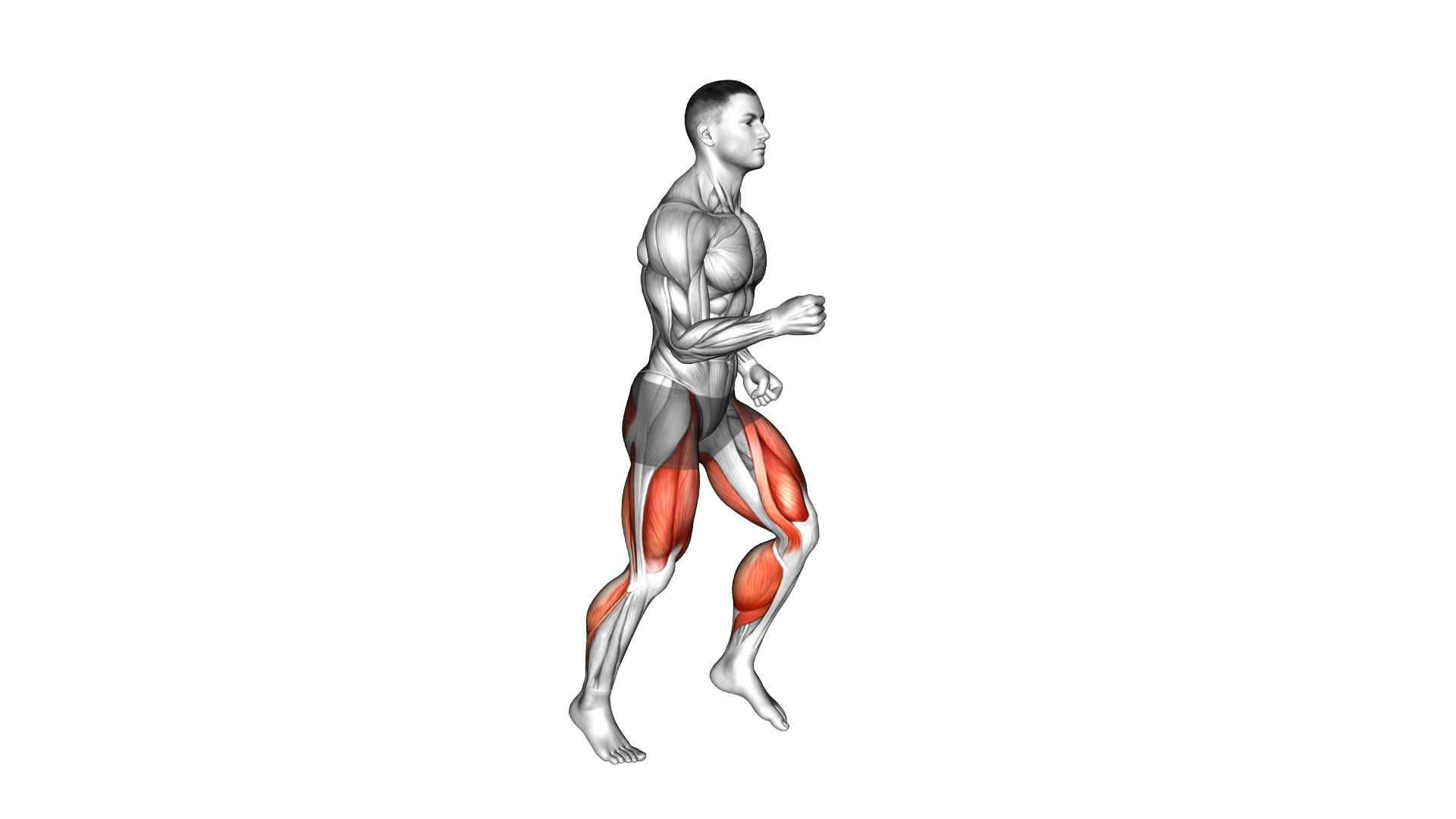 Long Distance Running exercise demonstration