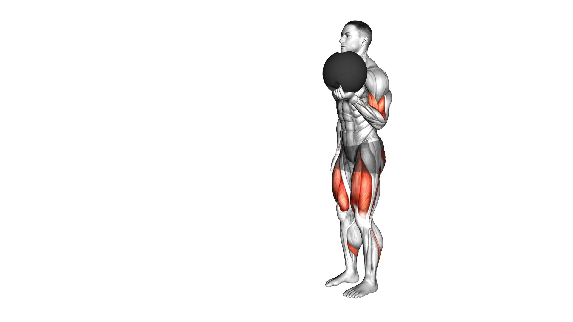 Medicine Ball Lunge with Biceps Curl exercise demonstration