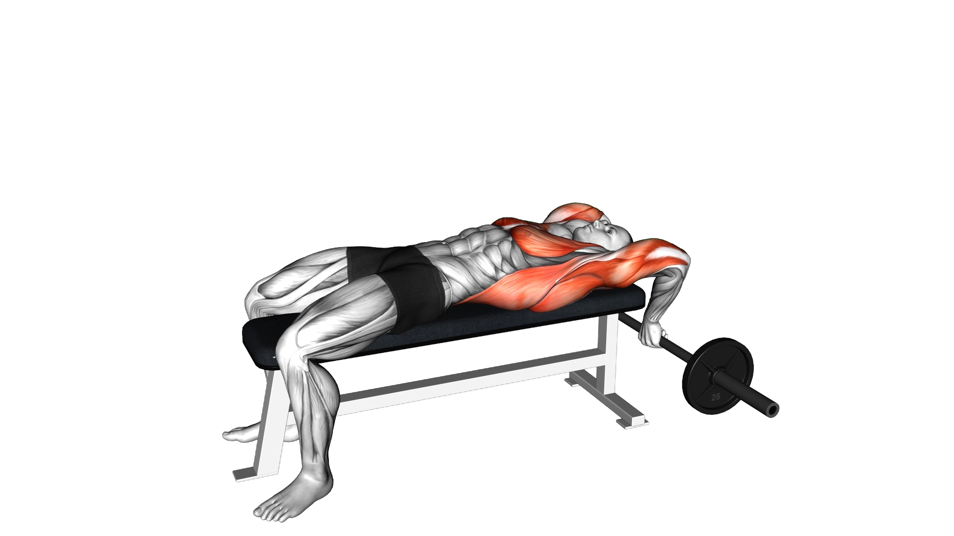 Old School Reverse Extensions exercise demonstration