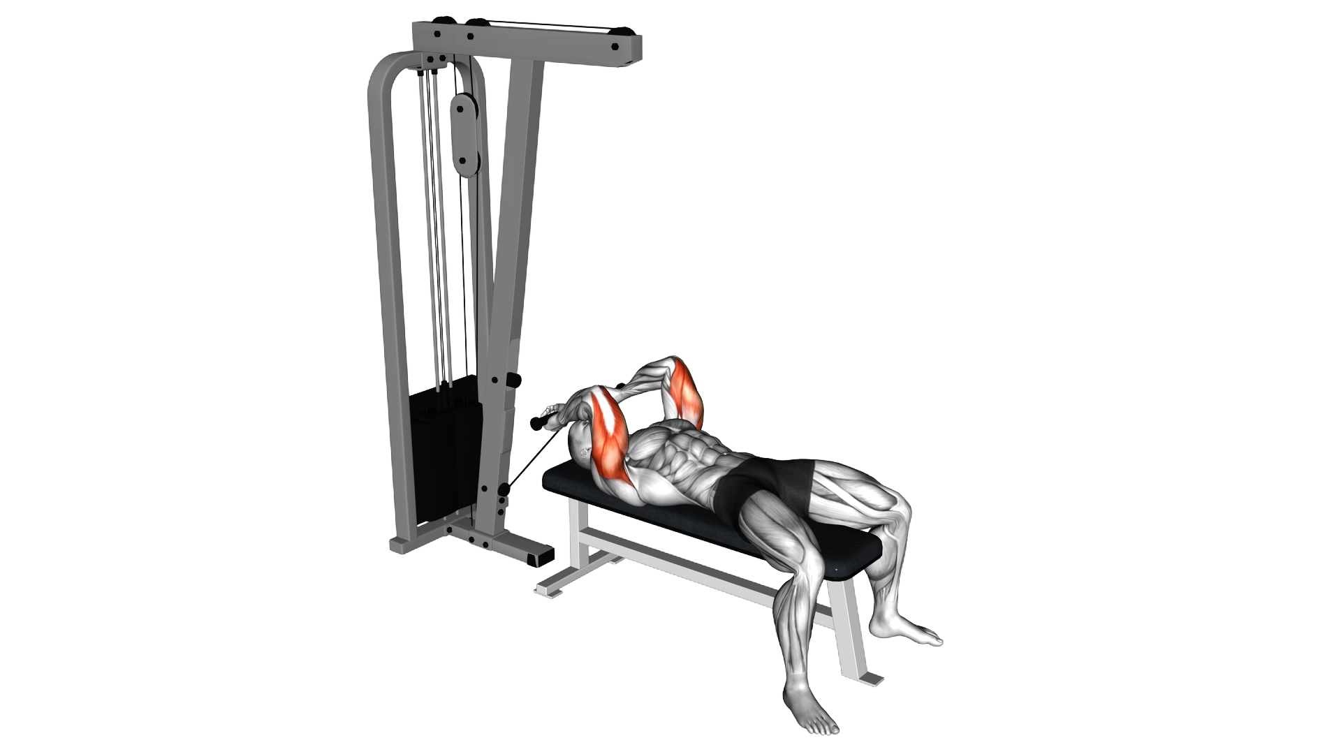 Cable Lying Triceps Extension (Low) exercise demonstration