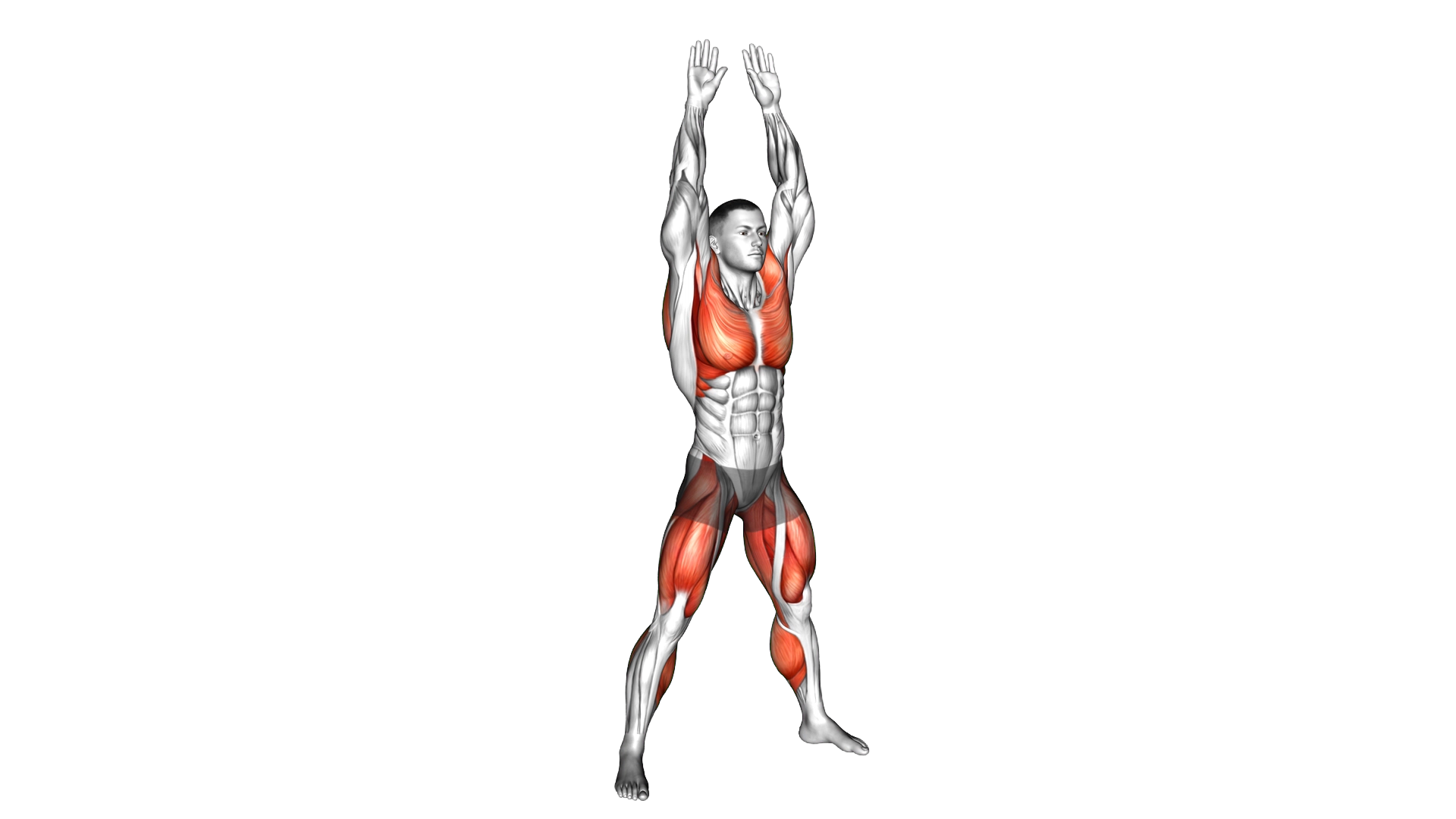 Squat Bounce exercise demonstration