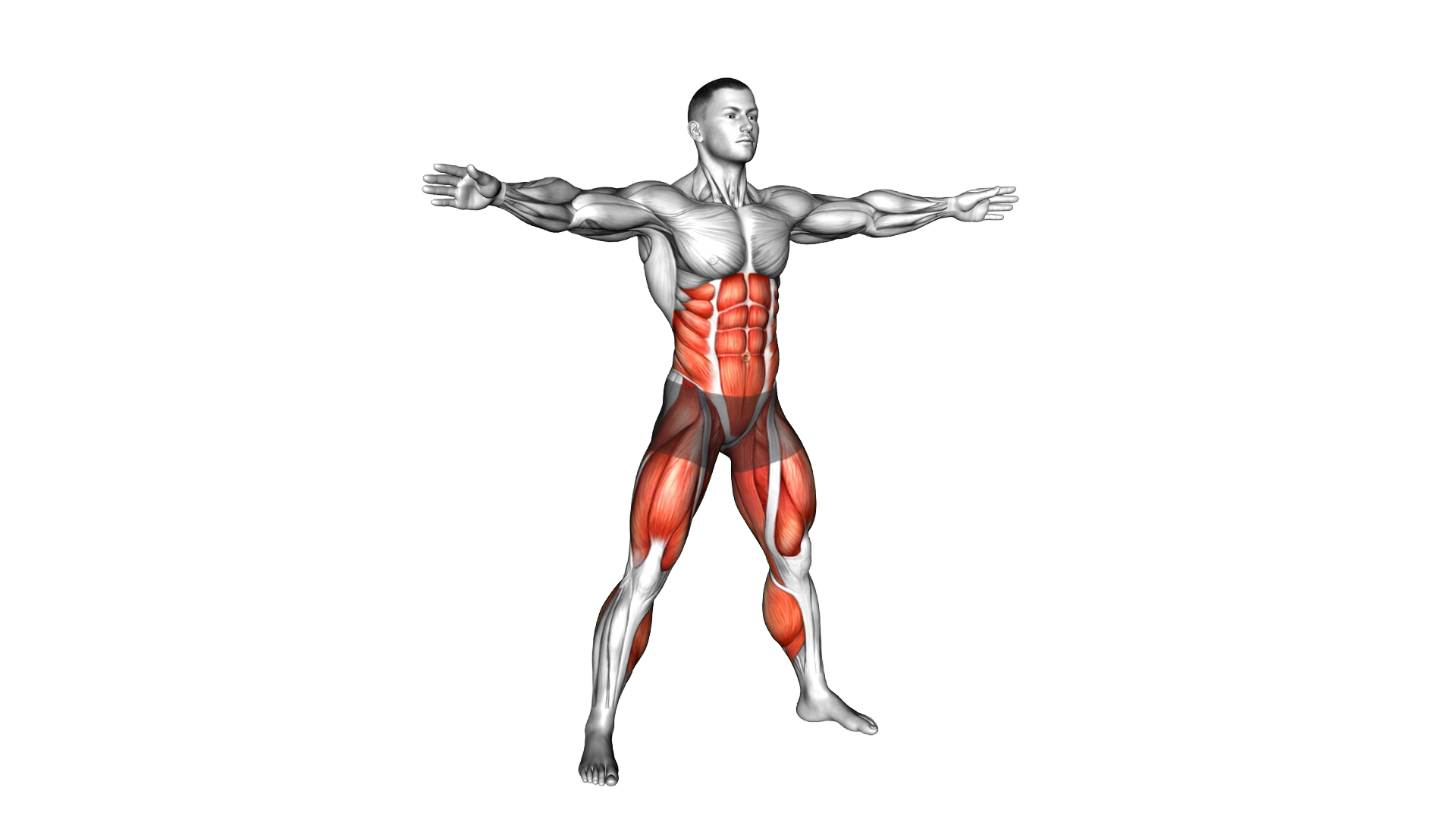 Standing Opposite Touches exercise demonstration