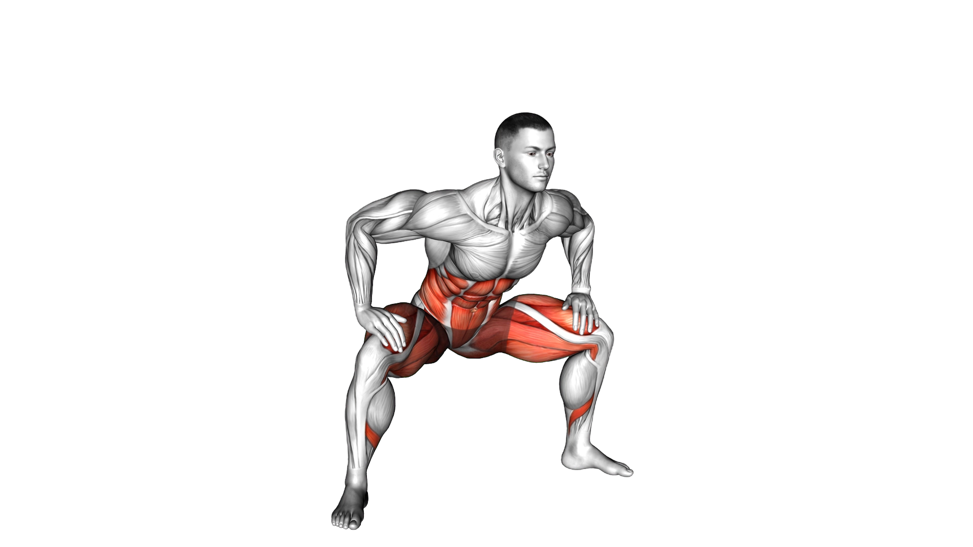 Sumo Hip Twist Stretch exercise demonstration