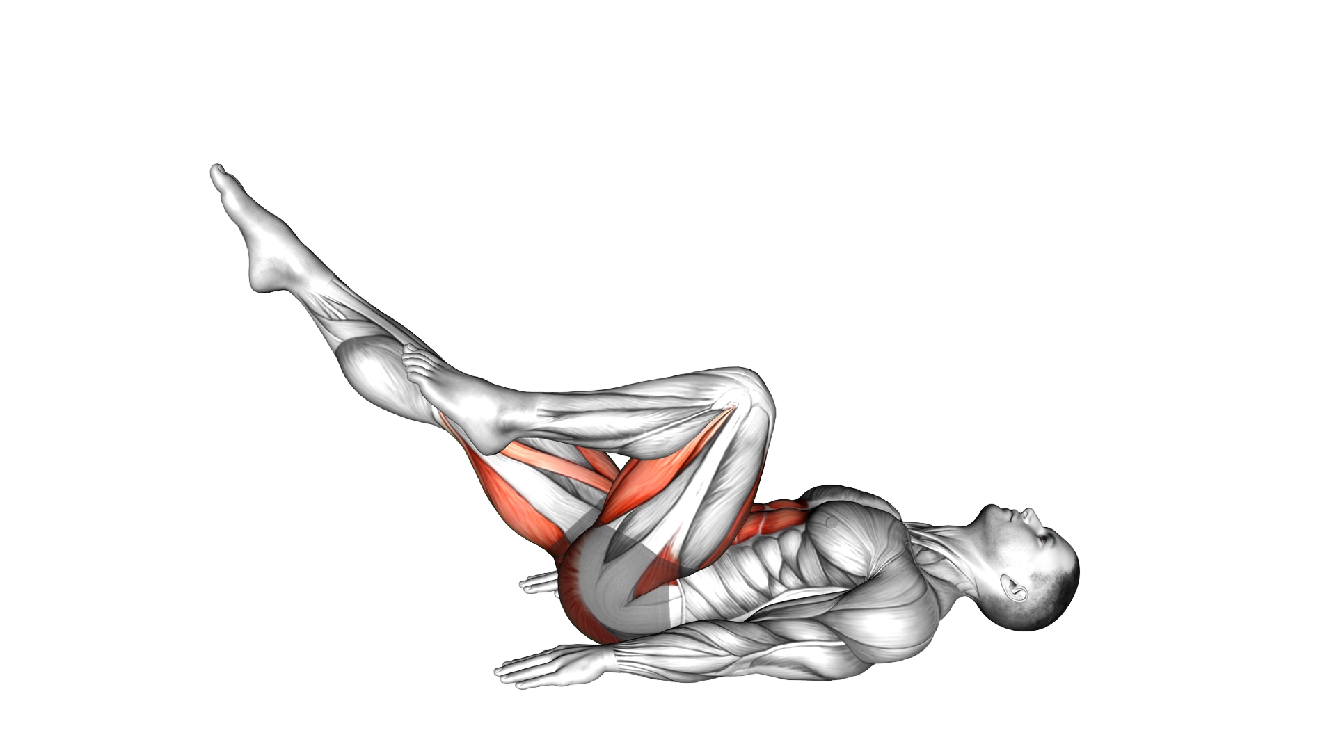 Lying Bicycle Crunch exercise demonstration
