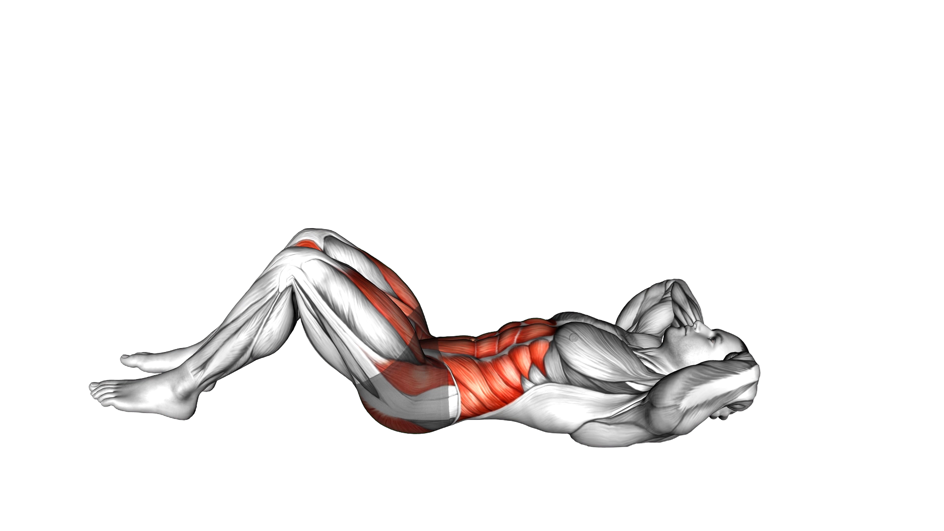 Air Twisting Crunch exercise demonstration