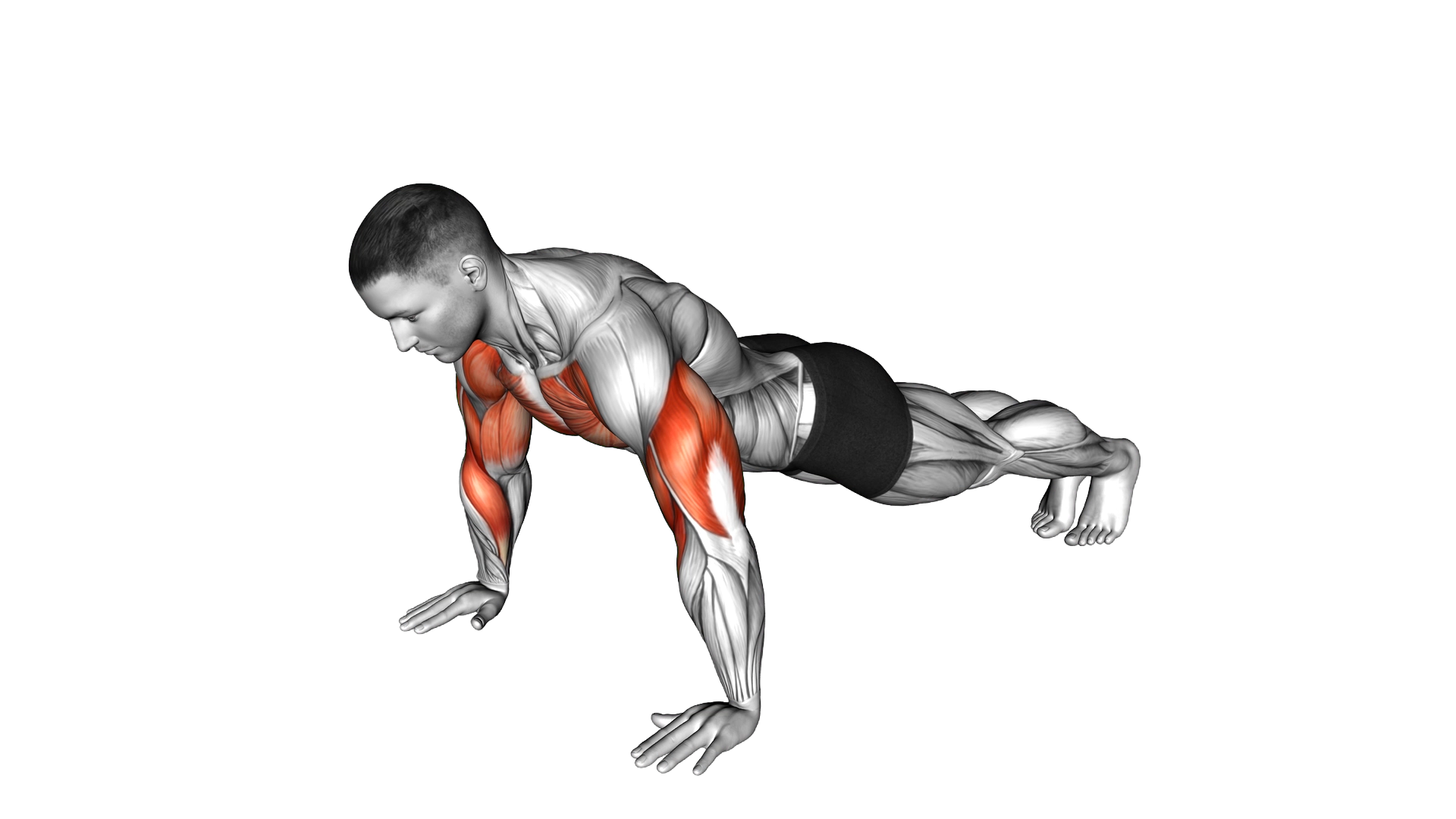 Rotating Push up exercise demonstration