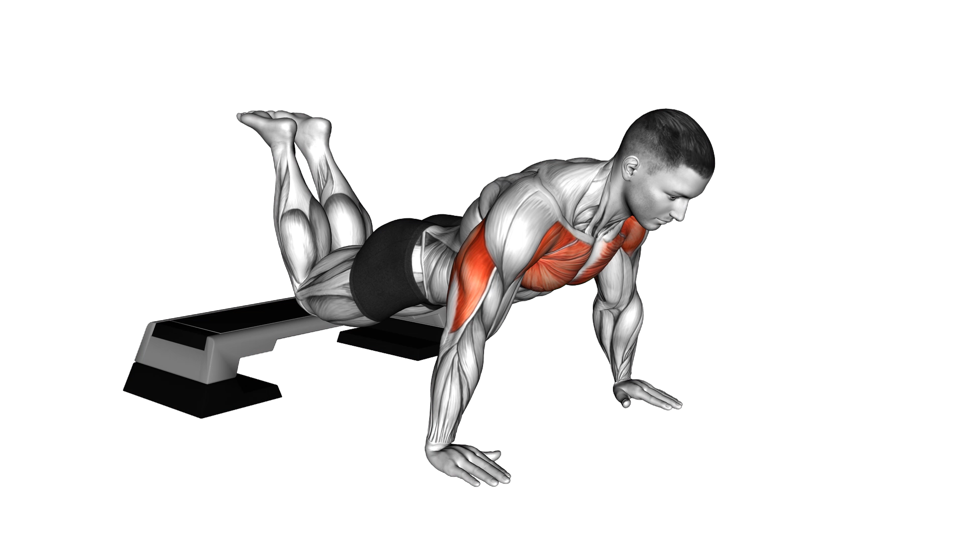Decline Kneeling Push up exercise demonstration