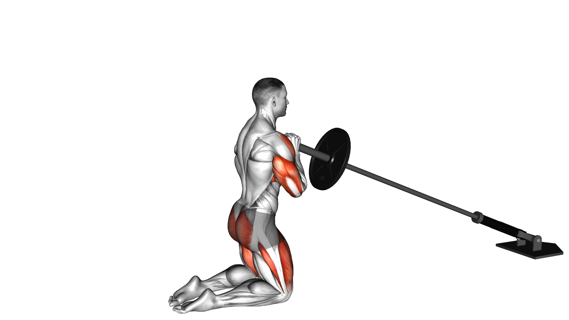 Landmine Kneeling Thruster Press exercise demonstration
