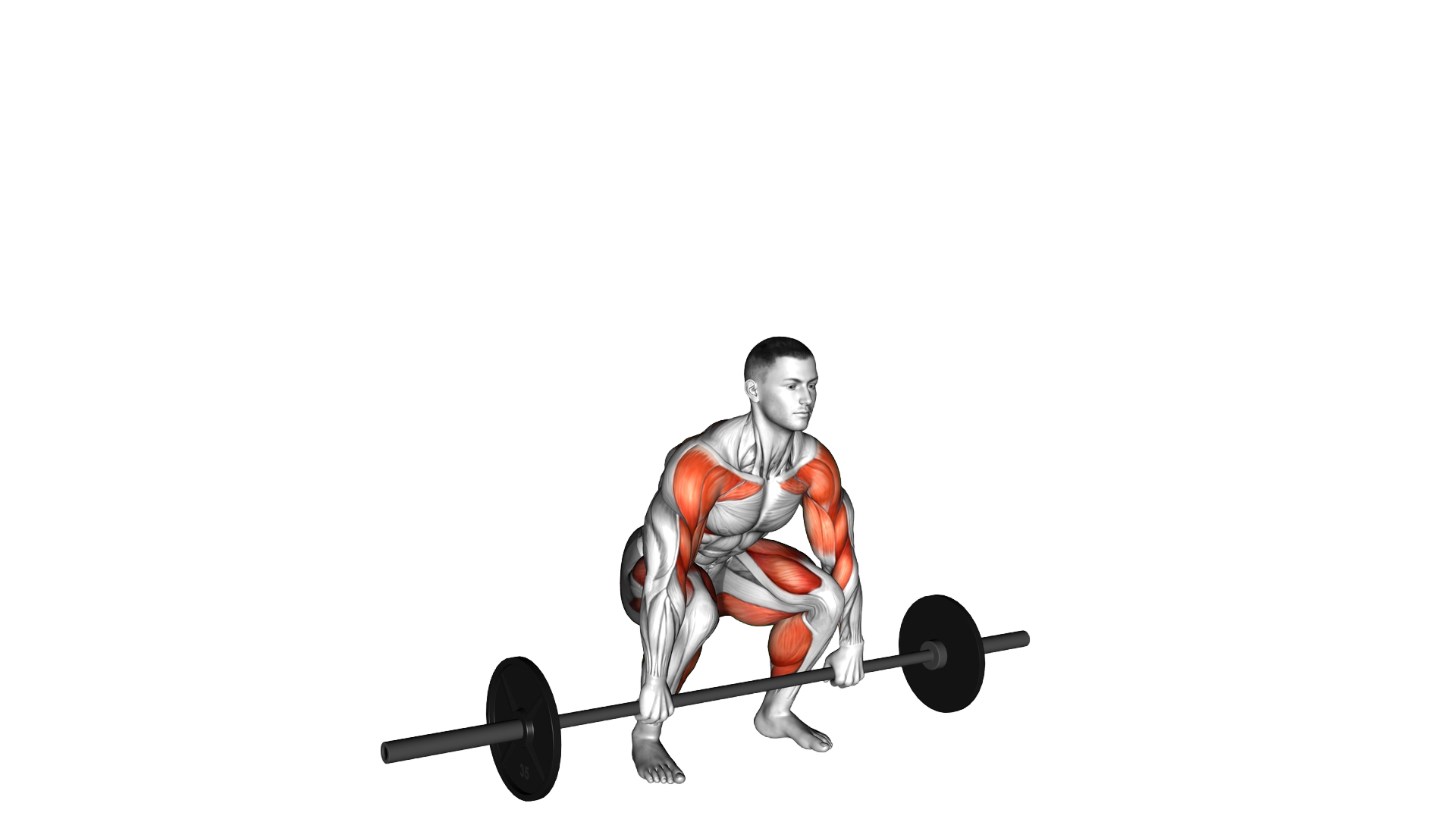Barbell Full Clean exercise demonstration
