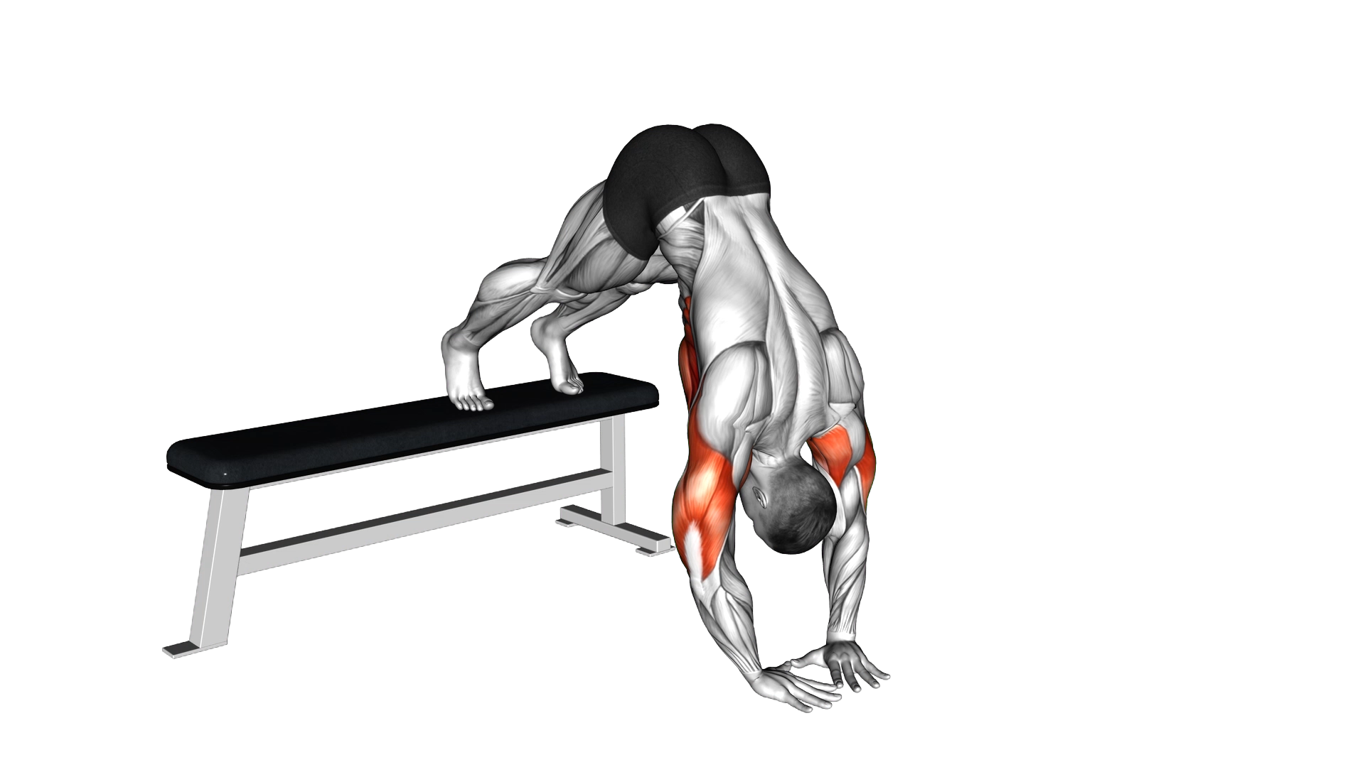 Decline Diamond Pike Push Up exercise demonstration