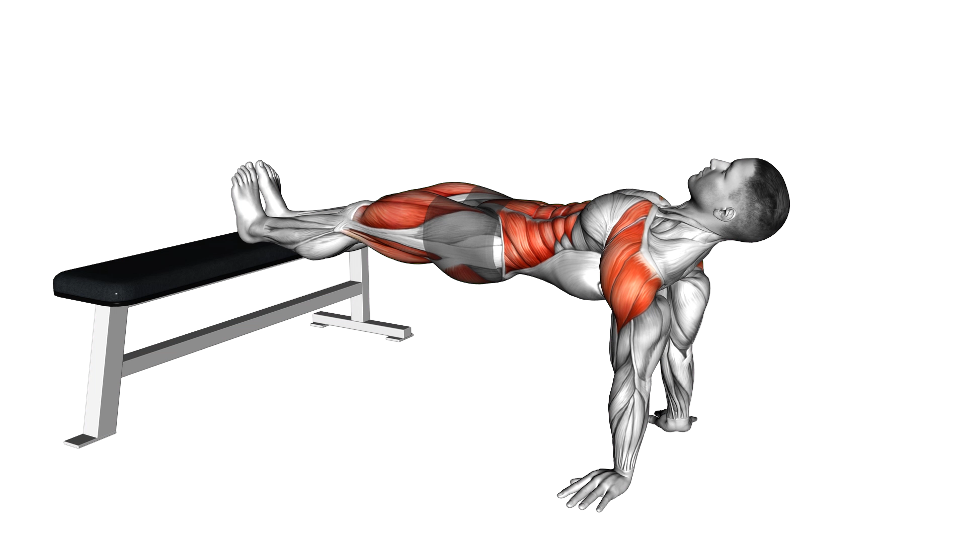 Bench Dip Hold exercise thumbnail