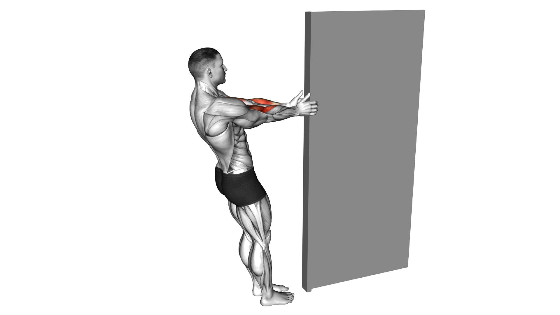 Doorway Biceps Curl exercise demonstration