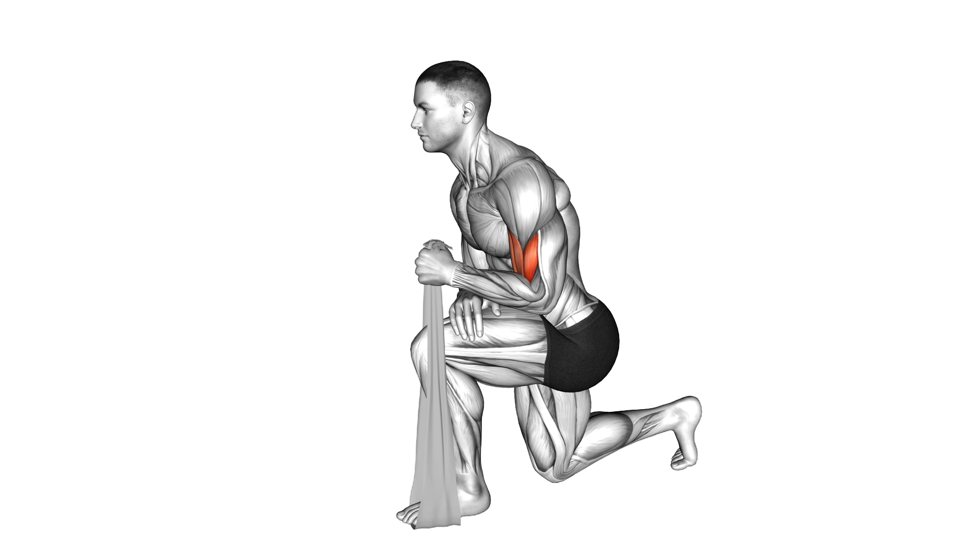 Biceps Squeeze with Towel exercise demonstration