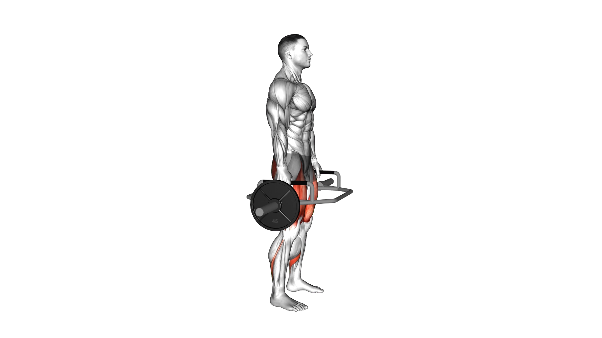 Trap Bar Squat exercise demonstration