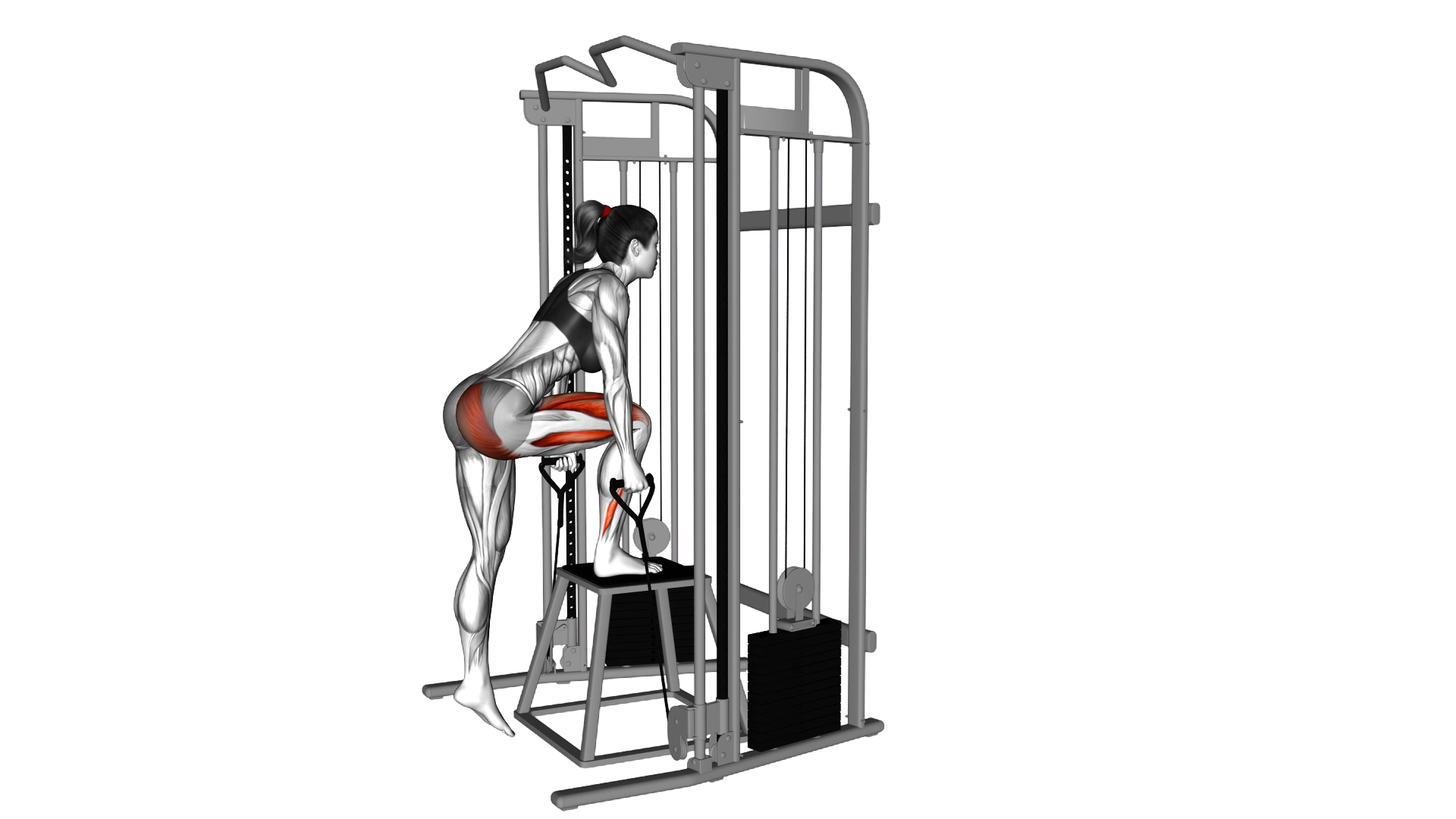Cable Glute Dominant Step Up exercise thumbnail