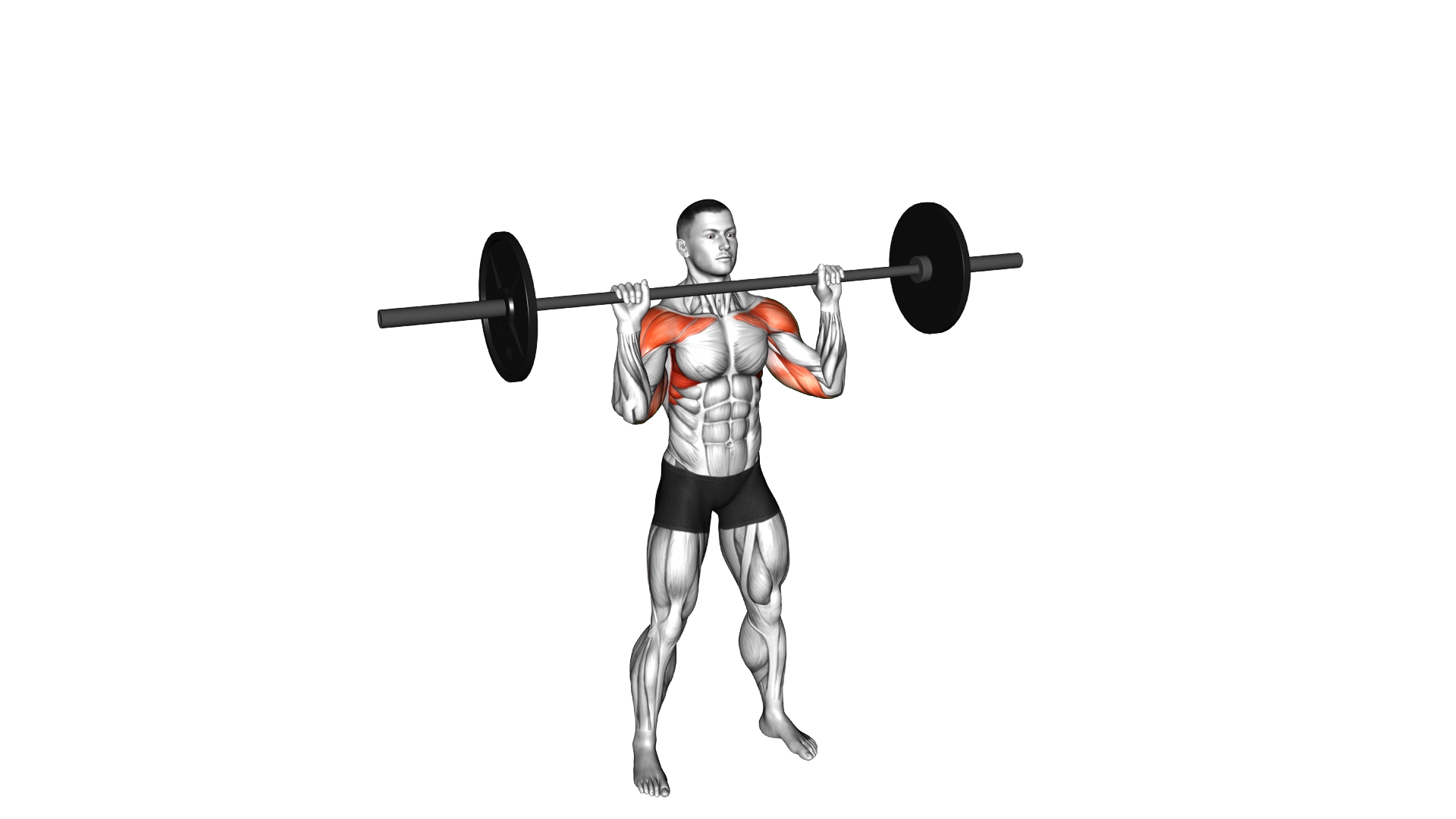 Barbell Standing Shoulders Press exercise thumbnail