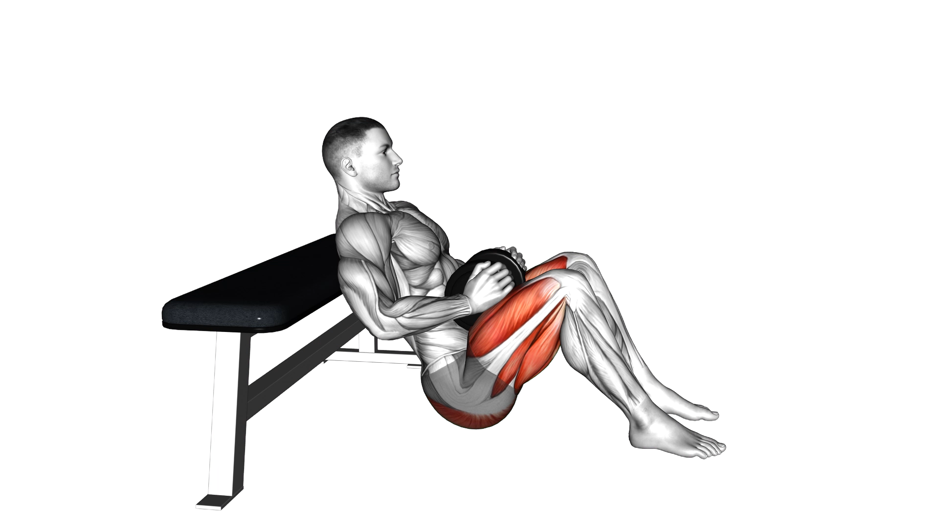 Dumbbell Hip Thrust exercise demonstration