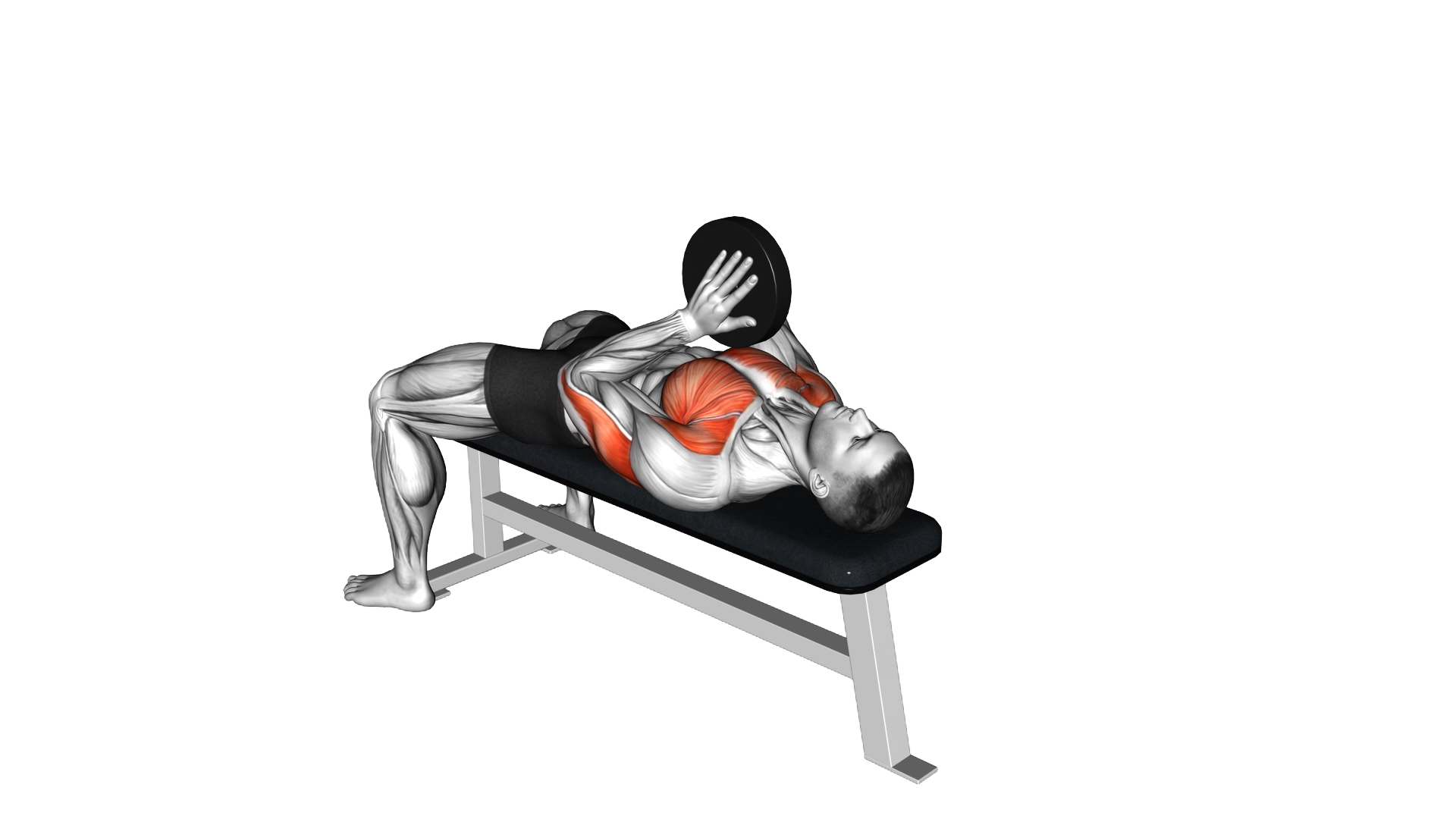 Svend Bench Press exercise demonstration