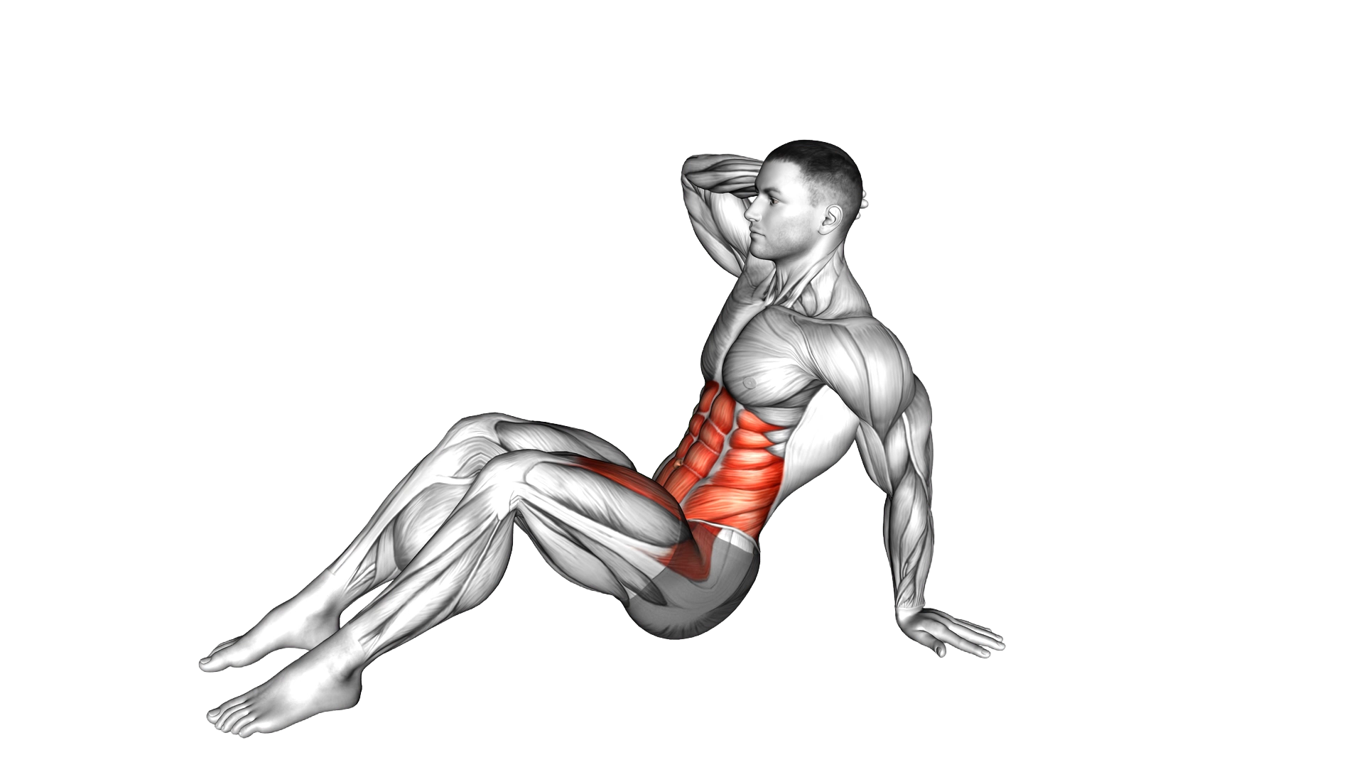 Sitting Side Crunch exercise demonstration