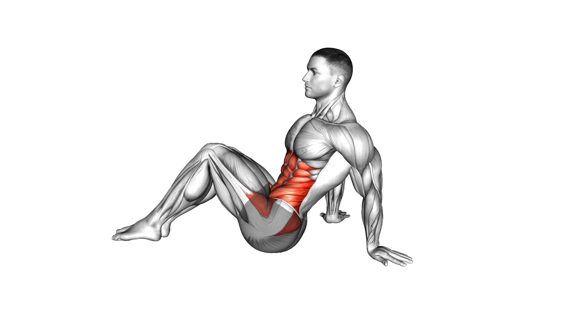 Sitting Windshield Wipers exercise demonstration