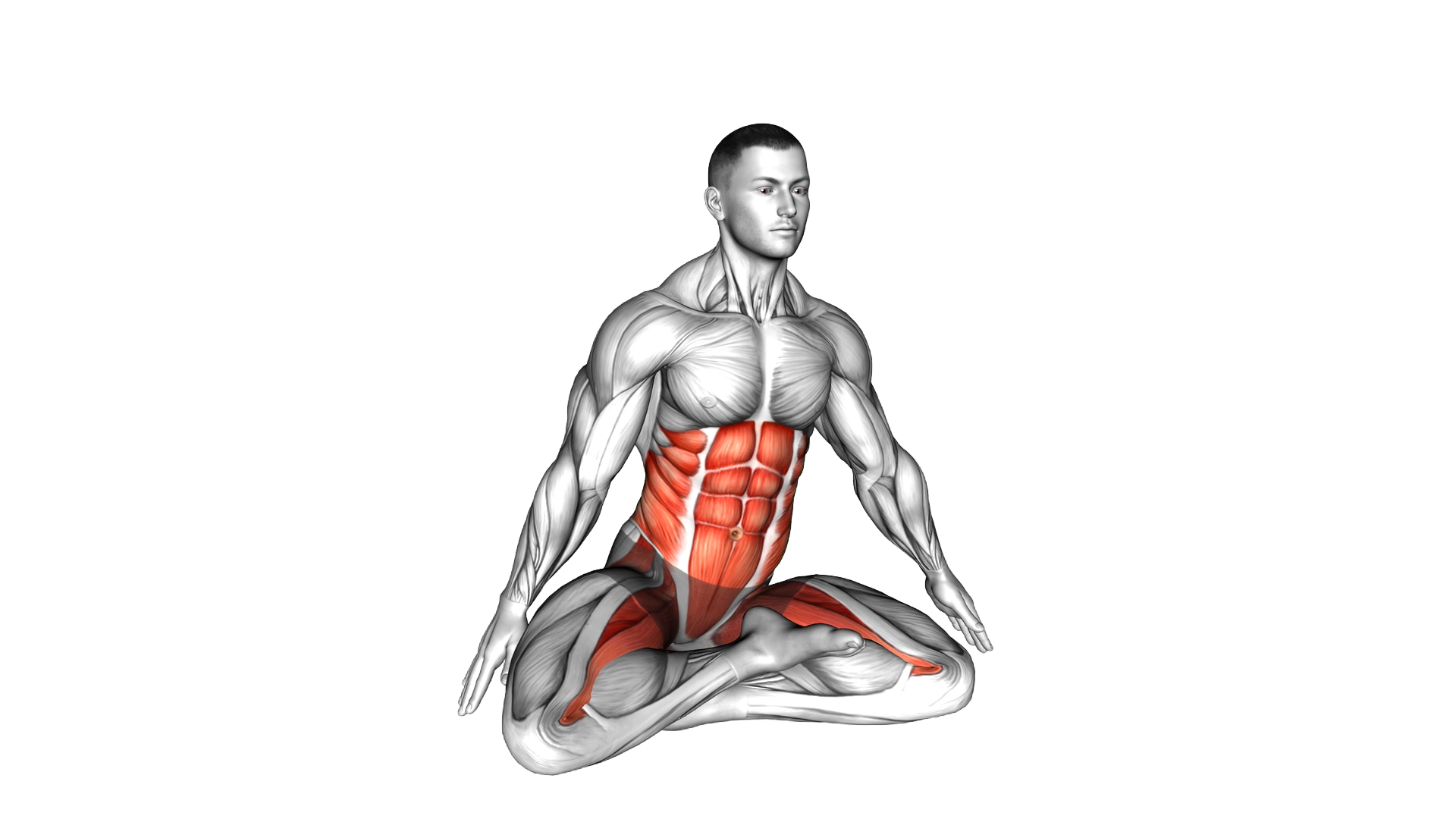 Sitting Lotus Pose Hip Horizontal Rotation exercise demonstration