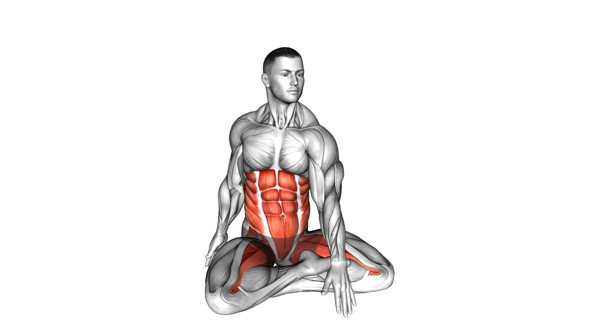 Sitting Lotus Pose Twisting Front Back Tap exercise demonstration