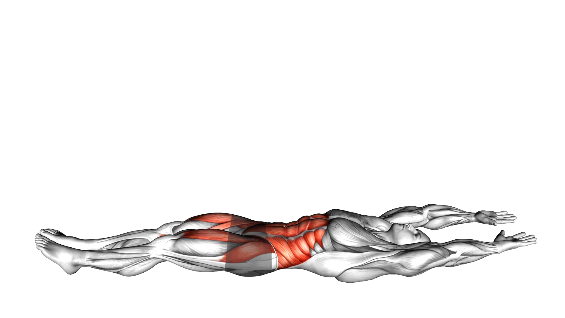 V Up Hold exercise demonstration