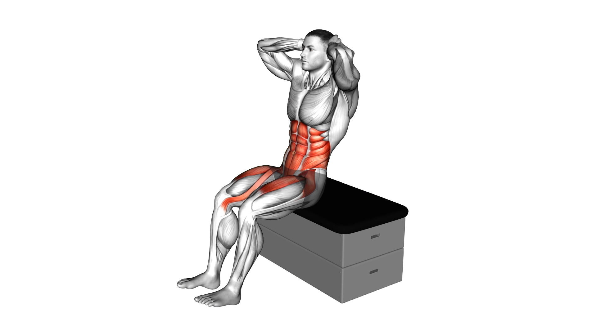 Sitting Air Twisting Crunch on a padded stool exercise demonstration