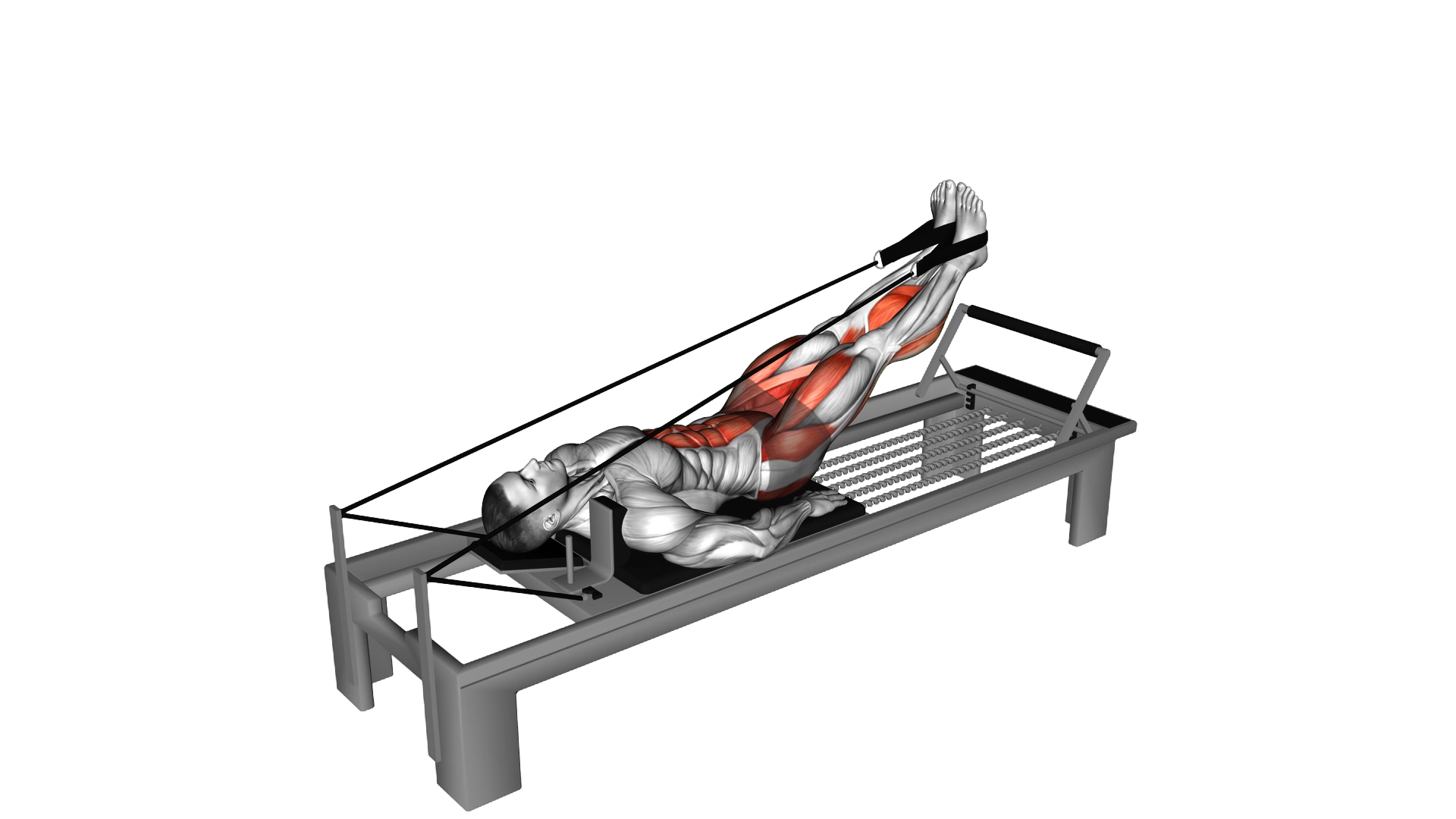 Lever Abduction Leg Raise exercise demonstration