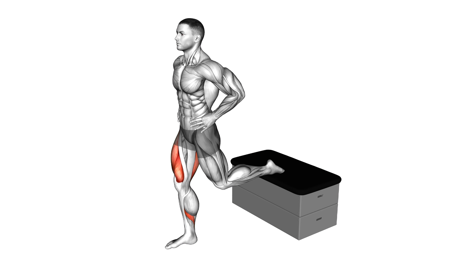Split Squat a padded stool Supported exercise demonstration