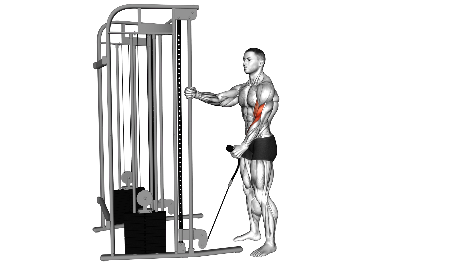 Cable Standing One Arm Hammer Curl with Rope Attac exercise demonstration