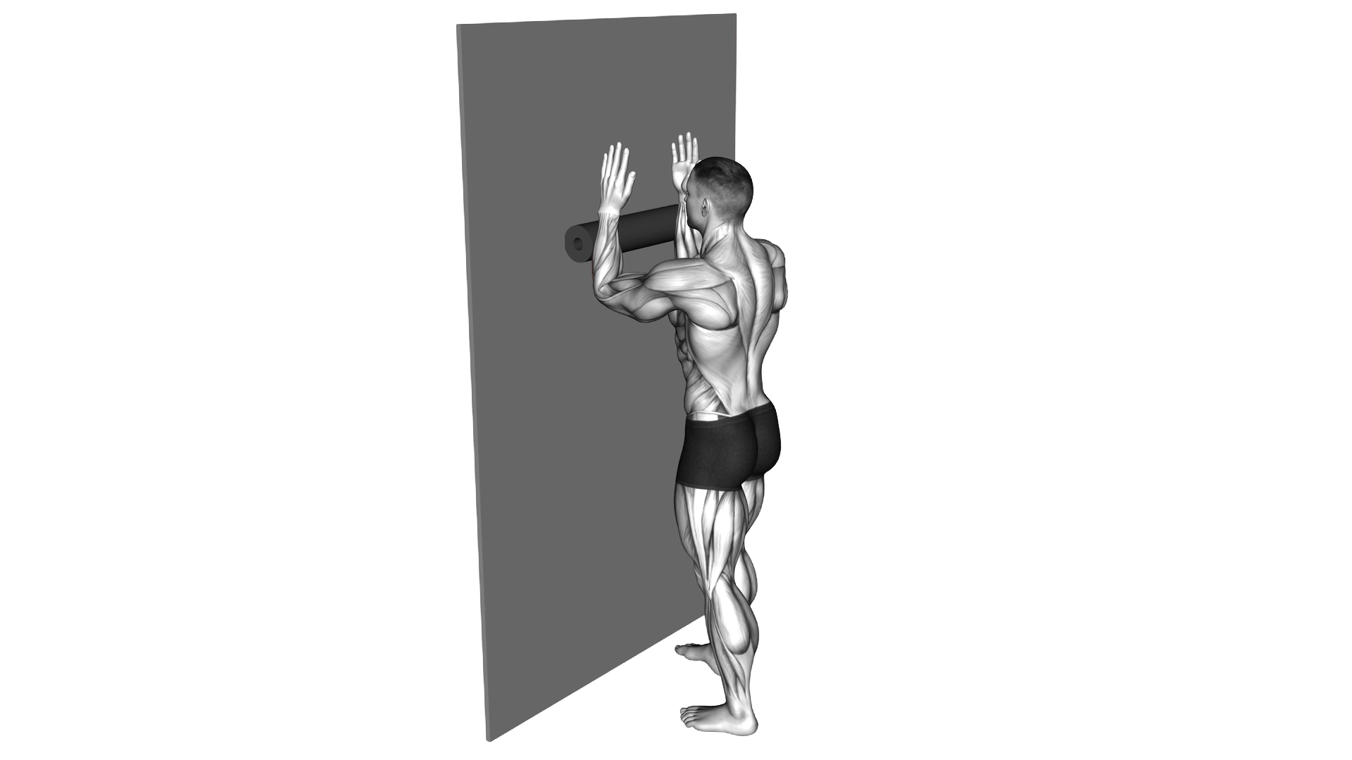 Roll Forearms Standing Against Wall exercise demonstration